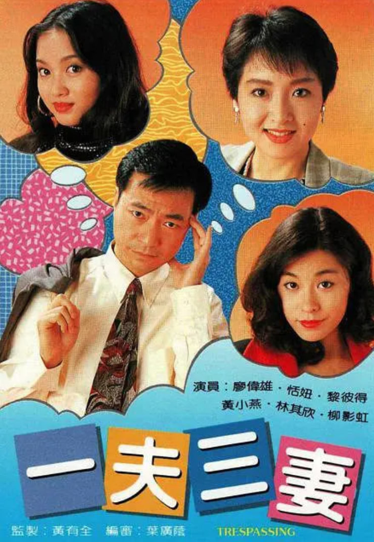 一夫三妻 1994 电视剧 海报