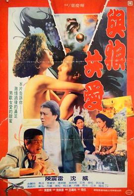 与狼共爱 1991 电影 海报