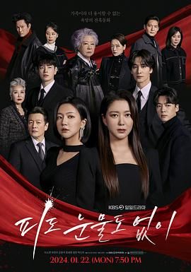 无血无泪普通话版 2024 电视剧 海报