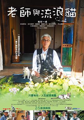 老师与流浪猫 2015 电影 海报