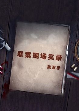 罪案现场实录第五季 2021 纪录片 海报