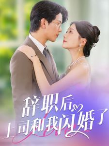 辞职后上司和我闪婚了 2024 短剧 海报