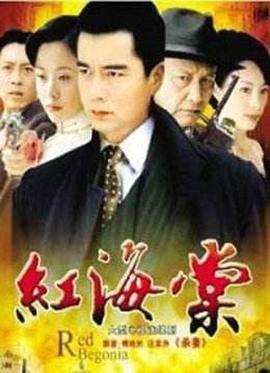 红海棠 2008 电视剧 海报