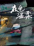 夜色温柔 2025 电影 海报