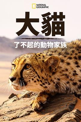 猫科动物：奇妙的动物家族 2015 纪录片 海报