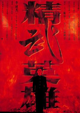 精武英雄 1994 电影 海报