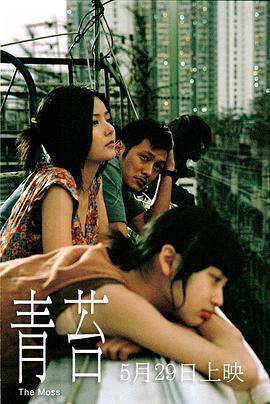 青苔国语 2008 电影 海报