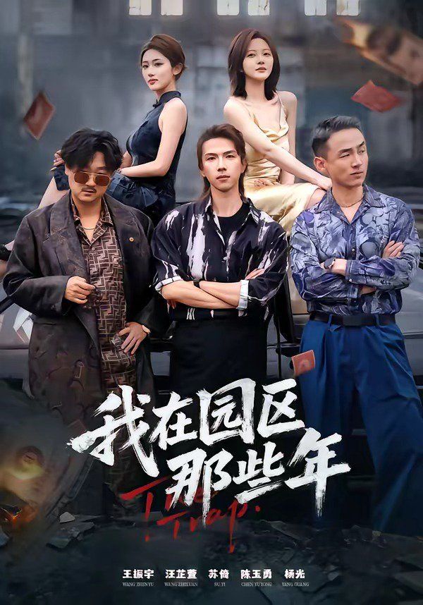 我在园区那些年 2026 短剧 海报