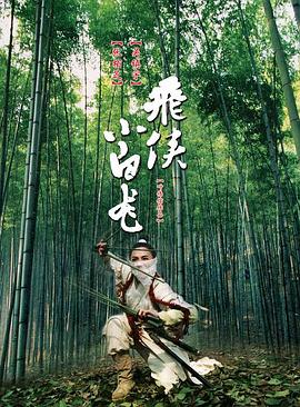 飞侠小白龙(国语版) 2004 电影 海报