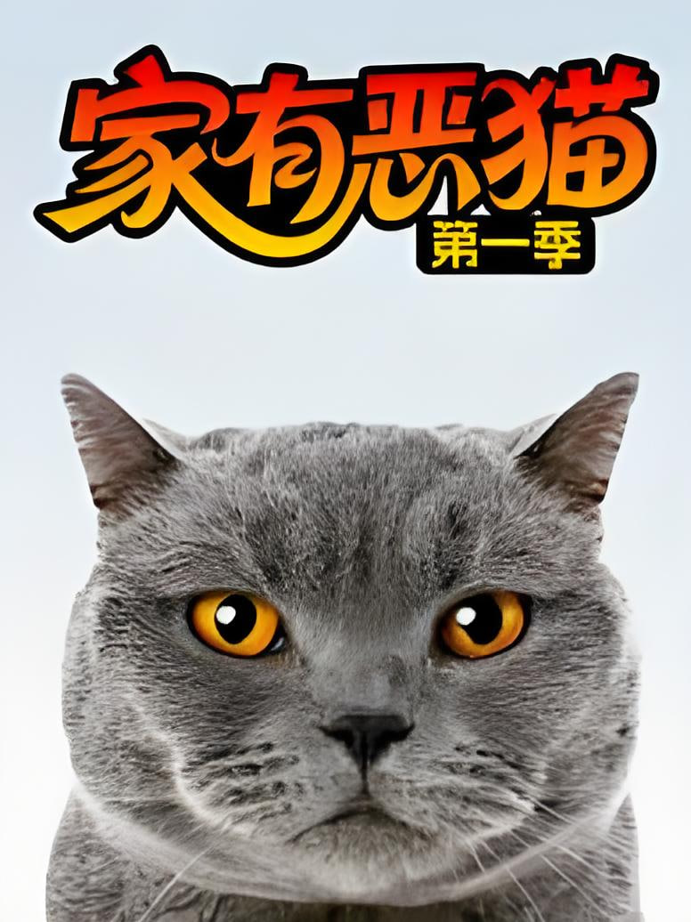 家有恶猫 第一季 2011 电视剧 海报