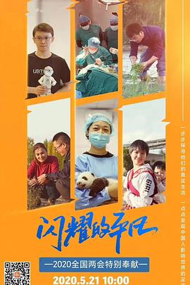 闪耀的平凡 2020 纪录片 海报