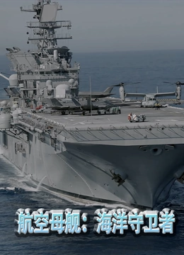 航空母舰:海洋守卫者 2022 纪录片 海报