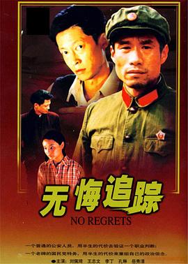 无悔追踪 1995 电视剧 海报