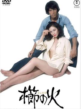 梳之火 1975 电影 海报