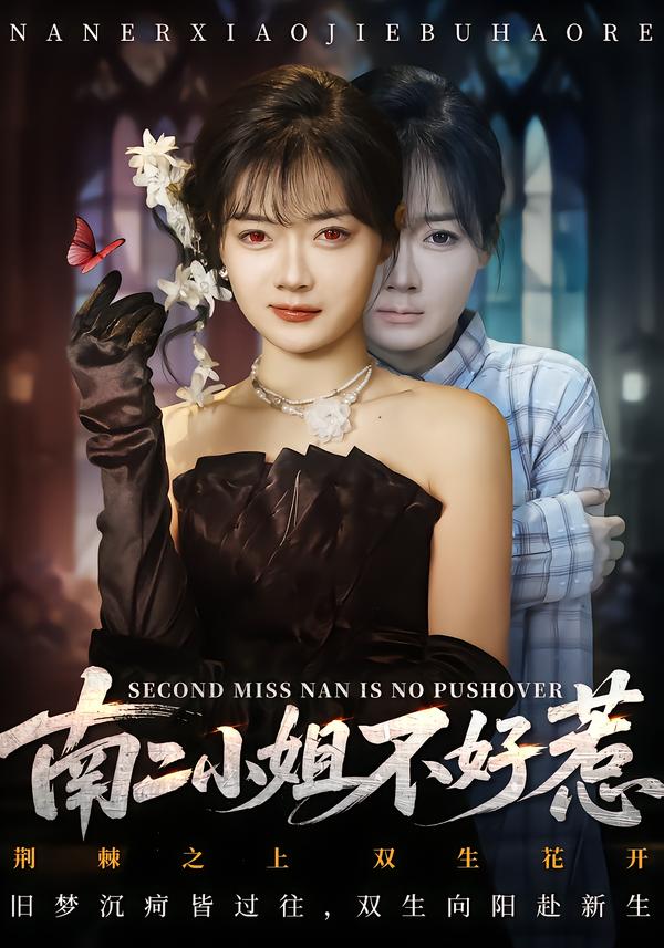 南二小姐不好惹 短剧 海报