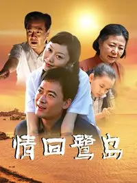 情回鹭岛 2011 电影 海报