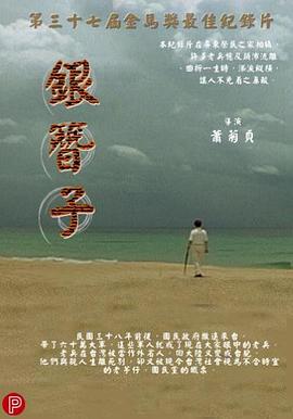 银簪子 2001 纪录片 海报