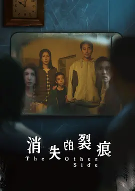 消失的裂痕 2026 电视剧 海报