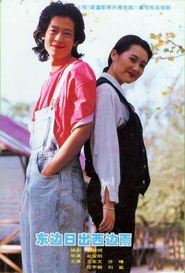 东边日出西边雨 1995 电视剧 海报