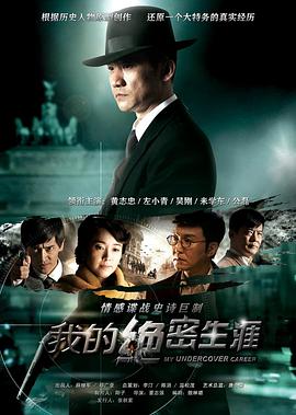 我的绝密生涯 2014 电视剧 海报