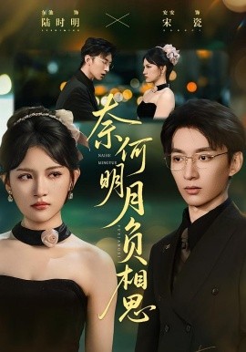 奈何明月负相思 2025 短剧 海报