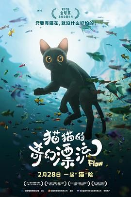 猫猫的奇幻漂流 2024 电影 海报