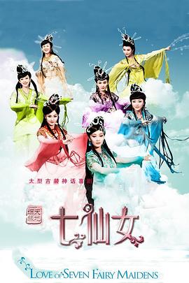 天地姻缘七仙女 2011 电视剧 海报