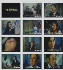 一缕柔情欲海花 1970 电影 海报