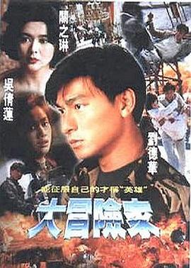 大冒险家 1995 电影 海报