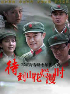 待到山花烂漫时 2014 电视剧 海报