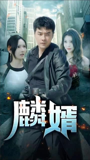 麟婿 2024 短剧 海报