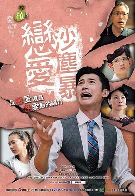 恋爱沙尘暴 2016 电视剧 海报