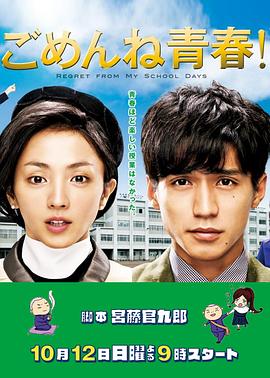 对不起青春 2014 电视剧 海报