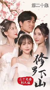 修罗下山三个老婆别太猛 2023 短剧 海报