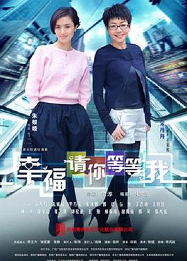 幸福请你等等我 2014 电视剧 海报