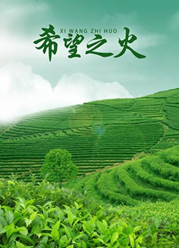 希望之火 2015 电影 海报