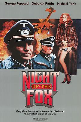 夜间的狐狸 1990 电影 海报