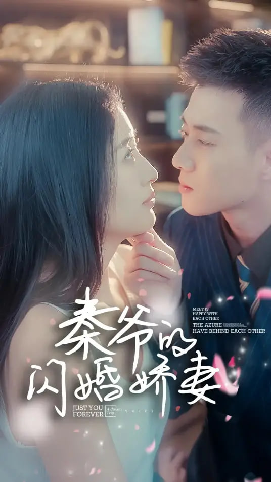 秦爷的闪婚娇妻 2026 短剧 海报