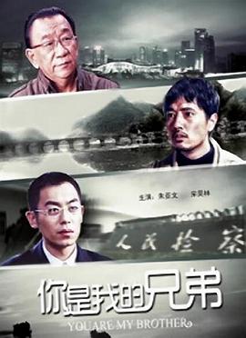 你是我的兄弟 2011 电影 海报