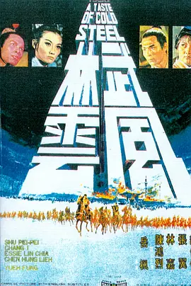 武林风云[电影解说] 1970 电影解说 海报