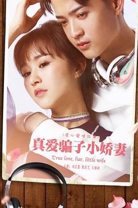真爱骗子小娇妻 2017 电影 海报