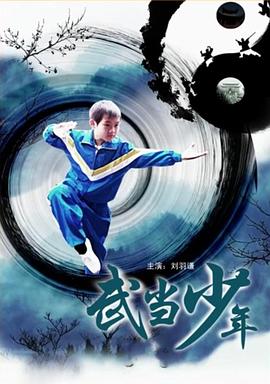 武当少年 2010 电影 海报