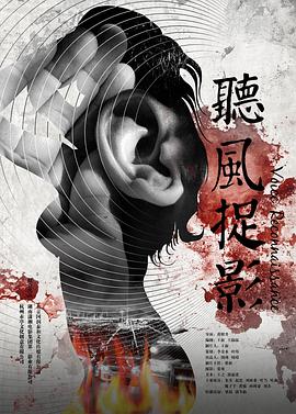 听风捉影 2014 电影 海报