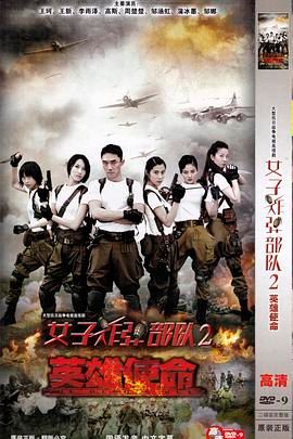 英雄使命 2013 2013 电视剧 海报