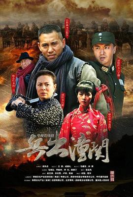兵出潼关 2014 电视剧 海报