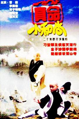 真命小和尚 1997 电视剧 海报