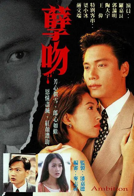 孽吻 1996 电视剧 海报