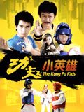功夫小英雄 2008 电视剧 海报
