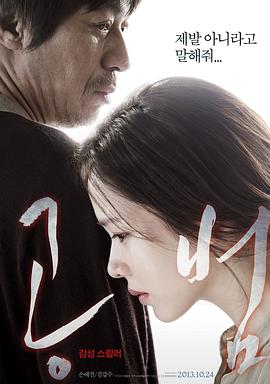 共犯 2013 电影 海报