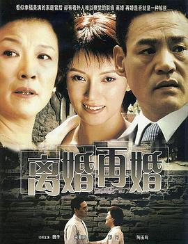 离婚再婚 2004 电视剧 海报